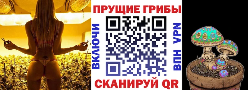 Псилоцибиновые грибы прущие грибы  цена наркотик  площадка телеграм  Таштагол 